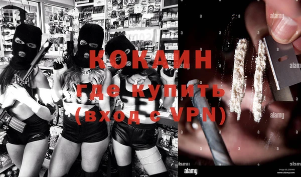 гашик Костерёво