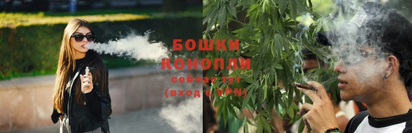 гашик Костерёво