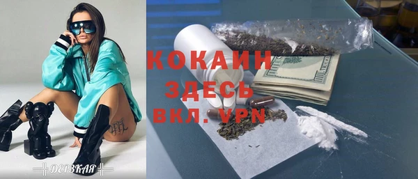 гашик Костерёво