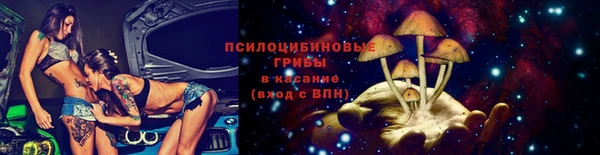 гашик Костерёво