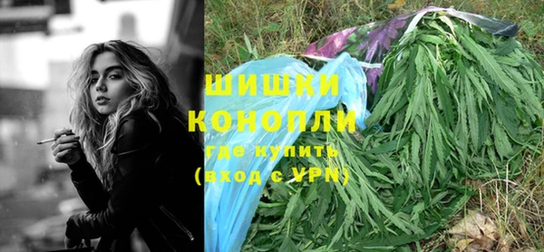 гашик Костерёво