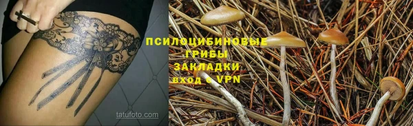 первитин Коряжма